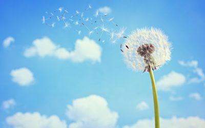 Želiš li da budeš (uvek) u pravu ili želiš da budeš u miru?